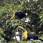 Photo taken by Ora Y