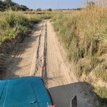 Photo taken by Cayden S