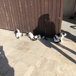 Photo taken by judy P