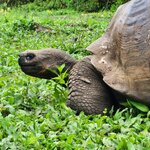 Photo taken by Lisa T