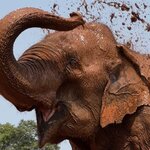 Photo taken by Felice Z