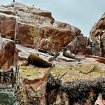 Photo taken by Donna W