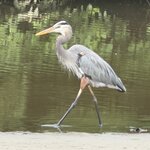 Photo taken by Kevin S