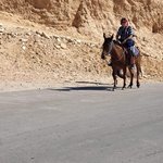 Photo taken by Sandra F