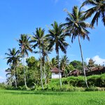 Photo taken by Laurence S