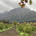 Photo taken by rhonda c