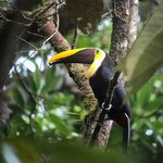 Photo taken by Gill P