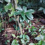 Photo taken by Victoria E