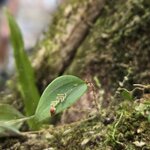 Photo taken by Ceinwen P