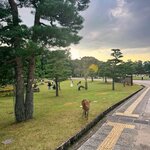 Photo taken by Abdul A