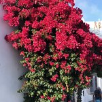 Photo taken by Lori H