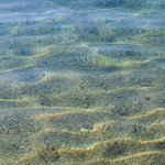 Photo taken by Patricia K