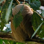 Photo taken by Joyce C