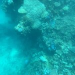 Photo taken by Cindy H