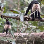 Photo taken by Cara A