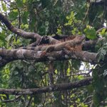 Photo taken by Holly B