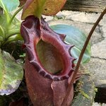 Photo taken by Edit M