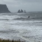 Photo taken by Elizabeth B