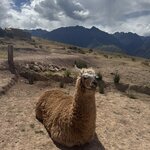 Photo taken by Lindsey B