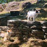 Photo taken by Joel S