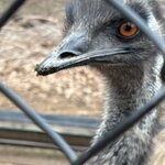 Photo taken by Judith C