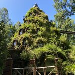 Photo taken by Mike C