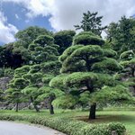 Photo taken by Deborah C