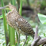 Photo taken by Graeme W