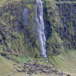 Photo taken by Tim Z