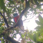 Photo taken by Darla D