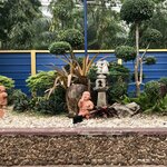 Photo taken by Shaula L