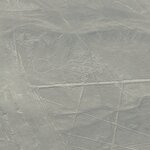 Photo taken by Bree J