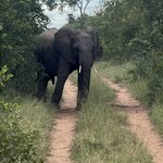 Photo taken by Crystall P