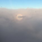 Photo taken by Lisa R