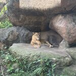 Photo taken by Brittany Leslie Lynn S