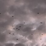 Photo taken by Uriah C