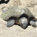 Photo taken by Khaled S