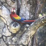 Photo taken by Kristen L