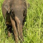 Photo taken by Kari I