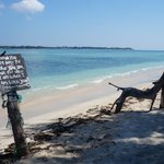 Photo taken by Alexandra G