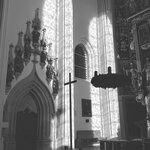 Photo taken by Diane C