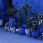 Photo taken by Susan D