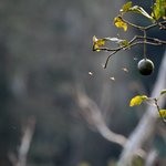 Photo taken by Graeme W