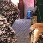 Photo taken by Cynthia T