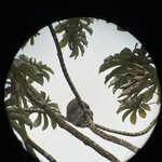 Photo taken by Chakrapani S