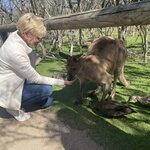 Photo taken by Susan C