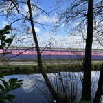 Photo taken by Monique L