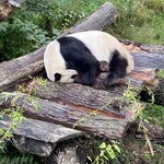 Photo taken by Anjana A