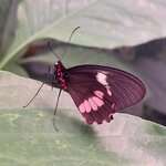 Photo taken by Sarah R