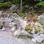 Photo taken by Tamara N